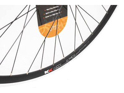 KX Economy MTB 650B Double Wall 36H Rim in Black
