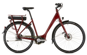 RIDGEBACK Electron +