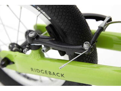 RIDGEBACK Scoot Green click to zoom image