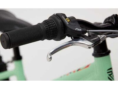 RIDGEBACK Harmony Green click to zoom image