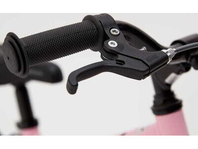 RIDGEBACK Honey Pink click to zoom image