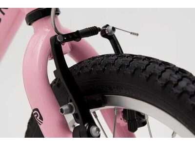 RIDGEBACK Honey Pink click to zoom image