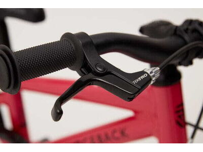 RIDGEBACK Dimension 14 Inch Pink click to zoom image