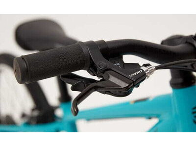 RIDGEBACK Dimension 20 Teal click to zoom image