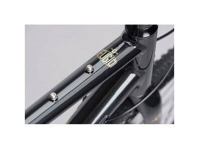 Genesis Fugio 10 click to zoom image