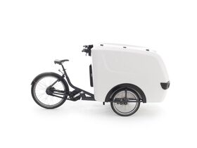 Raleigh Pro Trike Xl White