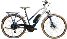 Raleigh Array Open 700 Slv/blue