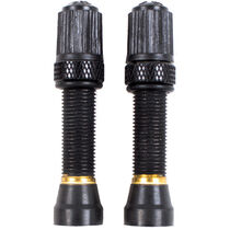 NUTRAK Schrader tubeless valve, threaded Bronze